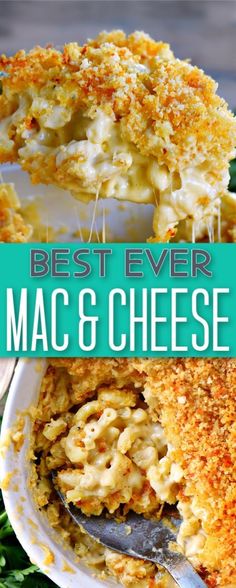 the best ever macaroni and cheese casserole