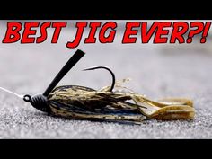 a black and yellow bug with the words best jig ever