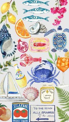 an illustration of various types of food and drinks on a white background, including oranges,