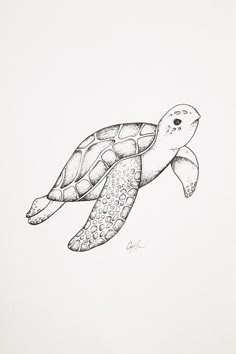 a black and white drawing of a turtle