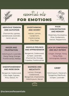 Emotions And Essential Oils, Diffuser Blends Young Living, Fragrance Quote, Essential Oil Roller Bottle Recipes, Helichrysum Essential Oil, Essential Oil Diffuser Blends Recipes, Essential Oils Guide, Essential Oils Herbs, Essential Oils Health