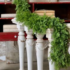 some green plants are growing on top of white pillars