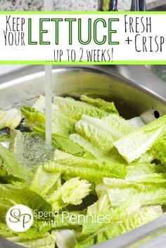 lettuce being washed in a sink with the words keep your lettuce fresh and crisp up to 2 weeks