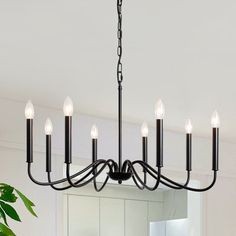 a black chandelier hanging from a ceiling in a room with white walls and flooring