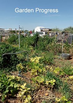 an image of garden progress with the title overlaying it in blue and white