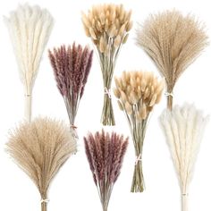 PRICES MAY VARY. Meet your decor needs: package contains 100 pieces natural bunny tails, 30 pieces white pampas, 30 pieces natural pampas and 30 pieces died pampas grass, the pampas and bunny tails have around 17 inches/ 45 cm long, sufficient quantities can meet the needs of various large caliber vases and more flower arrangements Natural and safe materials: please put in the sun before use, pampas grass will expand and almost double in size when placed in the sun for 24 hours, this lovely drie Wedding Bathroom, Bohemian Table, Pampas Grass Bouquet, Dried Pampas, Grass Decor, Pampas Grass Decor, Grass Wedding, Boho Flowers, Bunny Tail