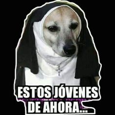 a dog wearing a nun costume with the caption, estos jovenes de ahora