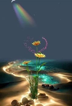 flowers in the sand at night with a rainbow colored sky and water flowing down it