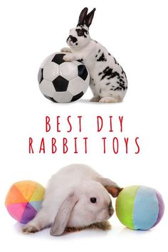 two rabbits are playing with balls and one bunny is sitting on top of the ball