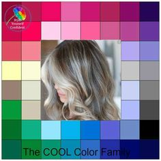 Grey Hair Cool Skin Tone, Mushroom Brown Hair, Color Analysis Summer, Cool Summer Palette, Cool Winter Color Palette, Summer Color Palettes, Soft Autumn Color Palette, Mushroom Hair, Mushroom Brown