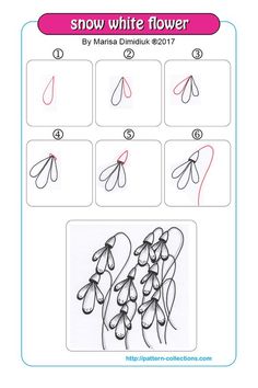 the instructions for how to draw snow white flowers