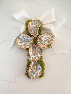 an arrangement of seashells and moss on a white surface