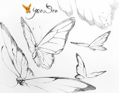 a drawing of butterflies with the words yes so written on top of one of them