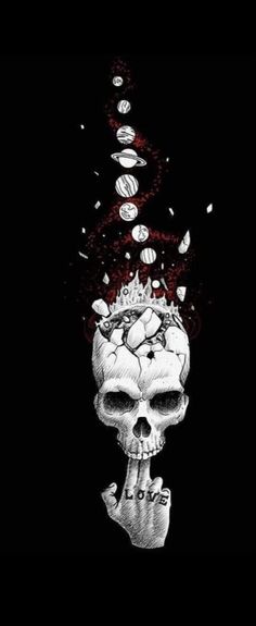 a skull with its head in the air, surrounded by pebbles and shells on black background