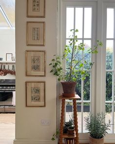 there is a potted plant next to the window in this room with pictures on the wall