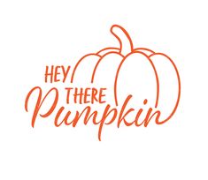 an orange pumpkin with the words hey there pumpkin