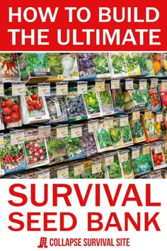 How To Build The Ultimate Survival Seed Bank Saving Vegetable Seeds, Seed Bank Storage, Homestead Skills, Off Grid Survival, Homesteading Diy, Survival Skills Life Hacks, Homesteading Skills, Survival Gardening, Emergency Preparation