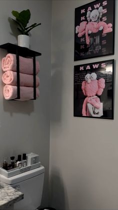 two pink towels hanging on the wall above a toilet