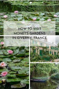 the gardens in giverny france with lily pads and water lilies