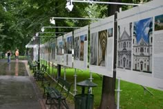 a row of benches sitting next to each other on a lush green park covered in trees