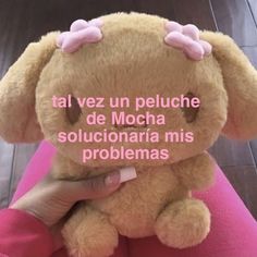 a person holding a brown teddy bear with pink bows on it's head and the caption in spanish