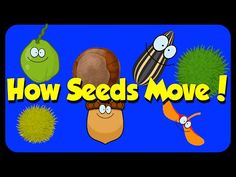 the words how seeds move are in front of an image of fruit and vegetables