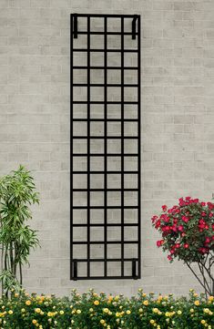 Modern Wall Mounted Trellis - Twin Pack - R9-14- Wrought Iron Trellis, Vertical Garden Plants, Planter Trellis