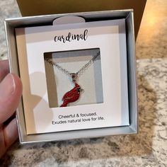 New In The Box Beautiful Cardinal Necklace On 18 Inch Chain From Kohl’s. Cardinal Necklace, Kohls Jewelry, Box Color, The Box, Womens Jewelry Necklace, Jewelry Necklaces, Women Jewelry, Necklaces, Chain