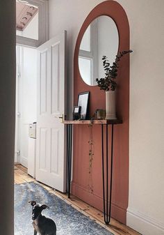 a small dog sitting on the floor in front of a mirror and shelf with plants