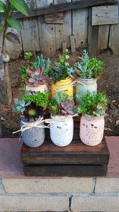 several jars with plants in them sitting on a wooden stand outside near a brick wall