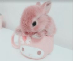 a small rabbit sitting inside of a pink cup on top of a white countertop