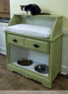 a cat sitting on top of a green cabinet next to a dog bowl and water dish