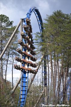 a roller coaster in the middle of a wooded area with trees and sky behind it