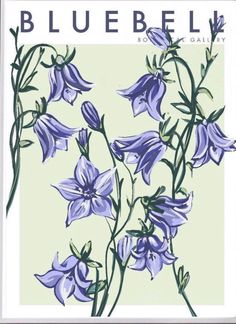 a bluebell flower on a green background with the words bluebell written below it