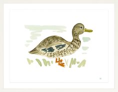 a watercolor painting of a duck on white paper