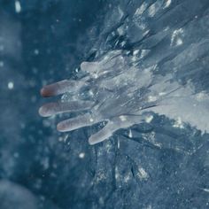 an image of a hand that is frozen in the snow with water droplets on it