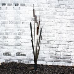 there is a plant in front of a white brick wall and mulch on the ground