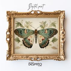 a painting of a butterfly on display in a gold frame with the caption despato