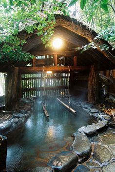 a hot spring in the middle of a forest