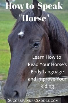 a brown horse standing next to a wooden fence with the words how to speak horse