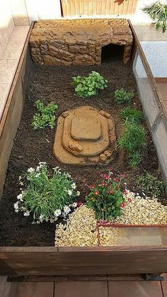 an outdoor garden with rocks and plants in it