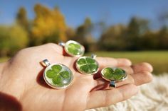 a person holding four clover brooches in their hand