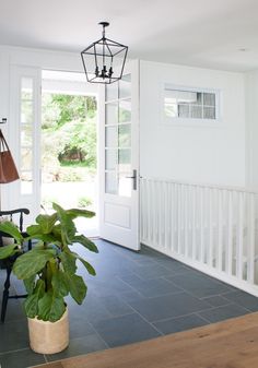 a living room with a plant in the corner and a door leading to another room