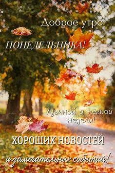 an autumn scene with leaves falling from trees and the words in russian above it,