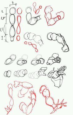 a drawing of different shapes and sizes of hands, legs, and feet in various poses