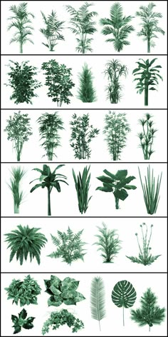 the different types of plants are shown in green