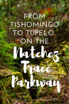 the words from tishomingo to tupelo on the matches trace parkway