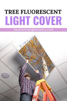 Tree Fluorescent Light Cover Fluorescent Light Cover, Office Trees, Fluorescent Light Covers, Waterfall Lights, Light Diffuser, Fluorescent Lighting, Light Panels, Tree Theme, Light Filters