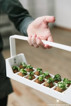 a person holding a tray with small food items in it