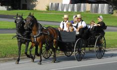 people riding in a horse drawn carriage down the street with two adults and one child